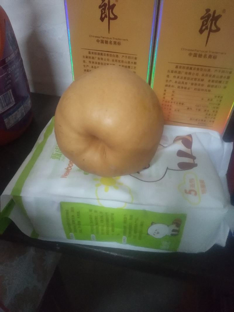 晚秋黄梨，自己种植，自己消售，