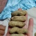 大量批发鲁花生，小日本花生，高品质无中间商，快来选购亲么