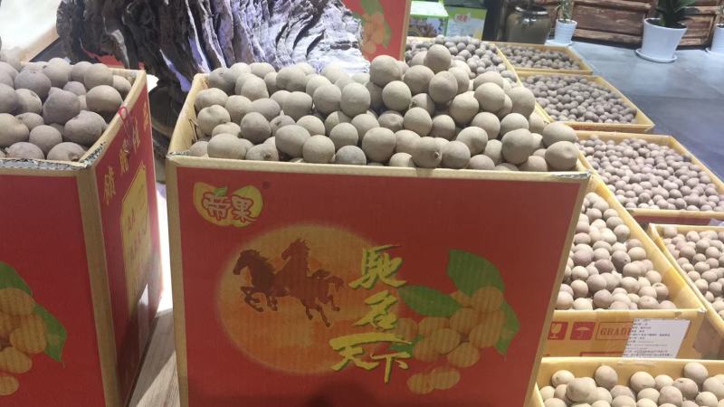 桂圆泰国进口干龙眼煲汤煮粥泡茶直销批发