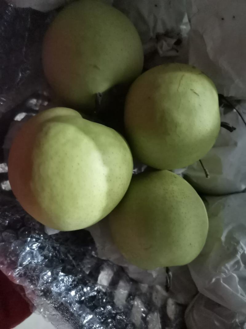 大量出售优质苹果，红香酥梨