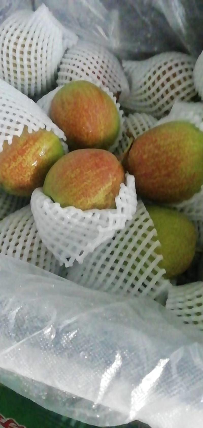 大量出售优质苹果，红香酥梨