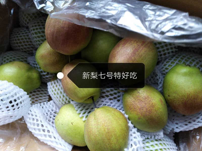 大量出售优质苹果，红香酥梨