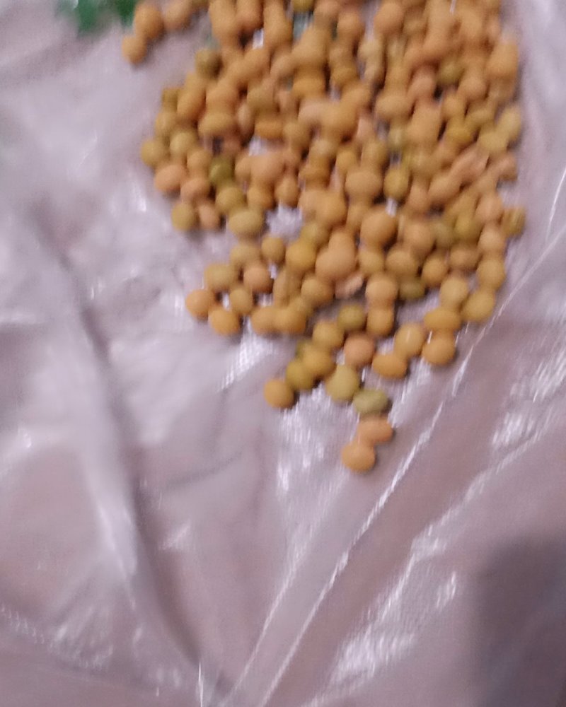 大豆大小均匀籽粒圆润