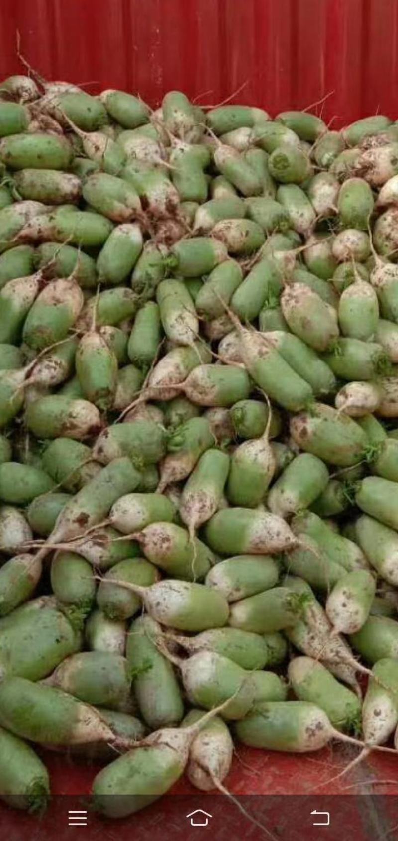 本地蔬菜量大品质特优！！！！