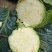 本地蔬菜量大品质特优！！！！