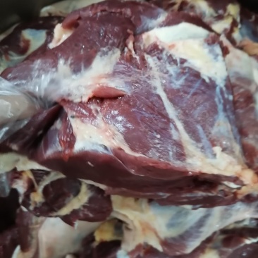 杜蒙荣辉批发带皮鲜肉，保证纯干不注水厂家直销
