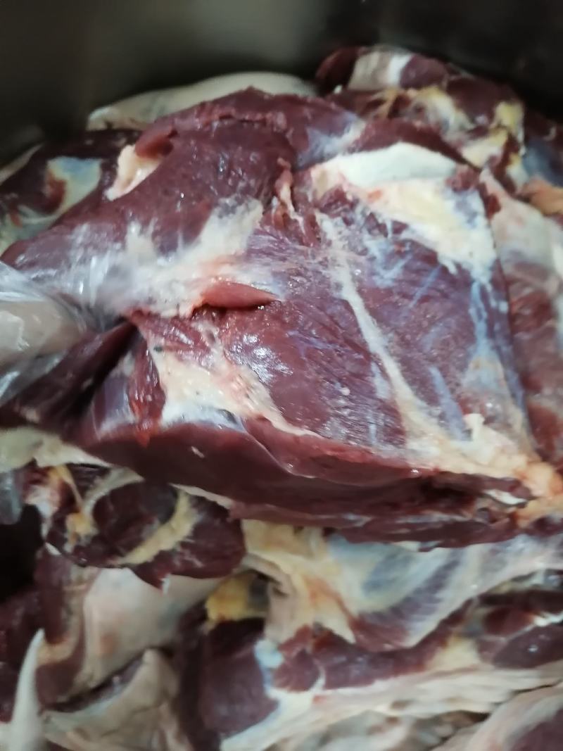 杜蒙荣辉批发带皮鲜肉，保证纯干不注水厂家直销
