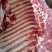 杜蒙荣辉批发带皮鲜肉，保证纯干不注水厂家直销