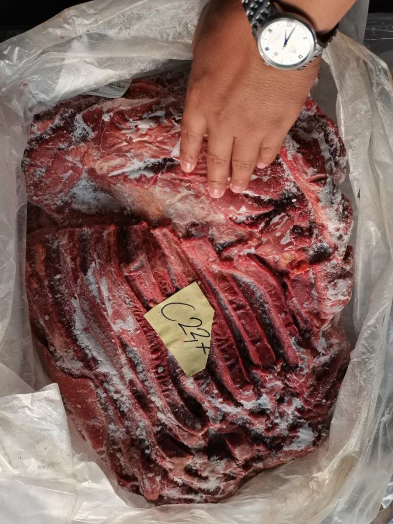 杜蒙荣辉亿米特鼎丰源马肉，大量到货，颜色质量杠杠的好