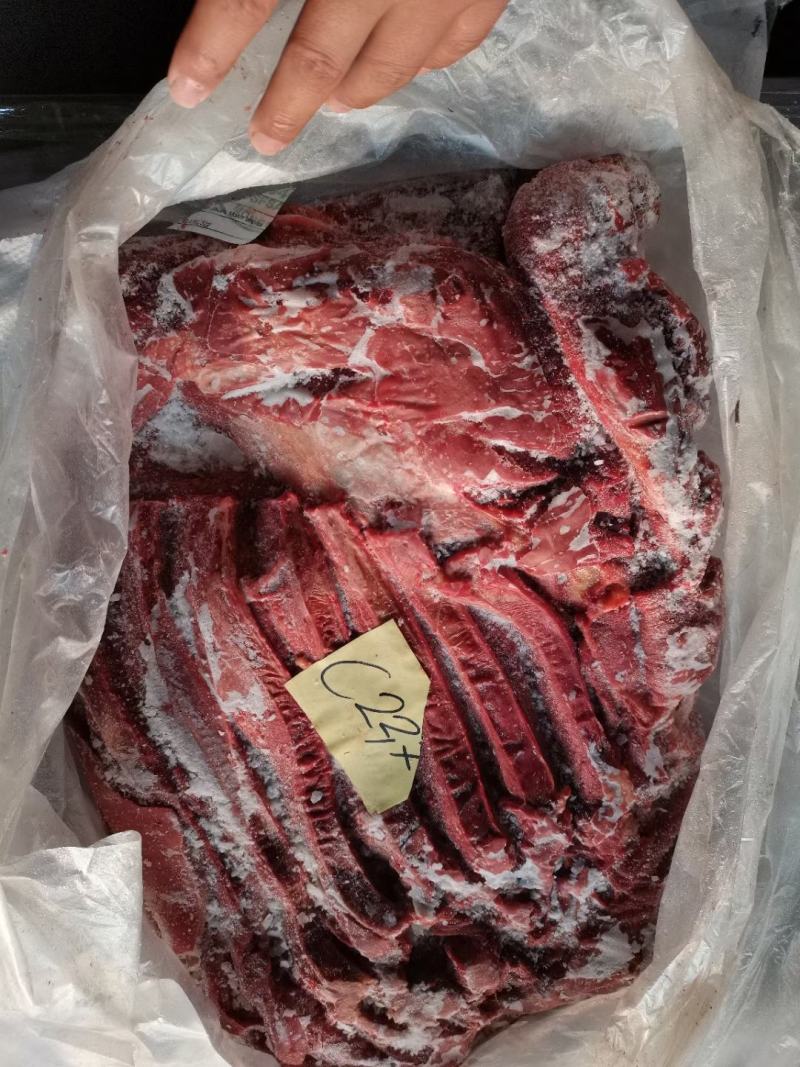 杜蒙荣辉亿米特鼎丰源马肉，大量到货，颜色质量杠杠的好