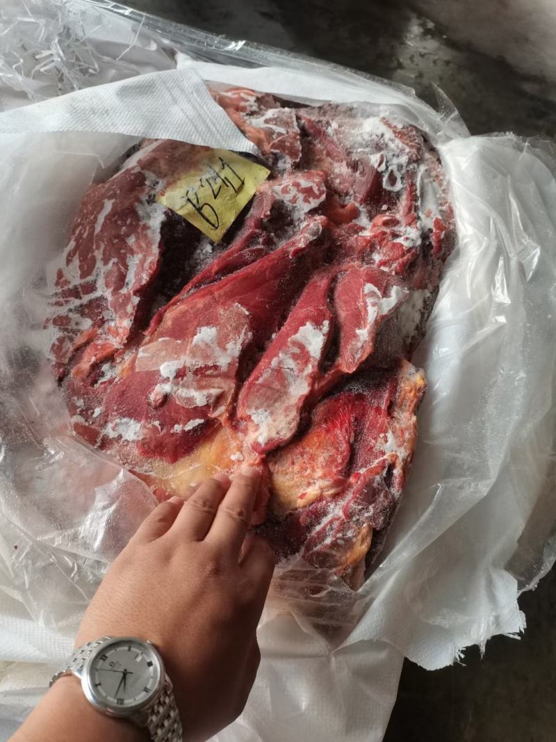 杜蒙荣辉亿米特鼎丰源马肉，大量到货，颜色质量杠杠的好