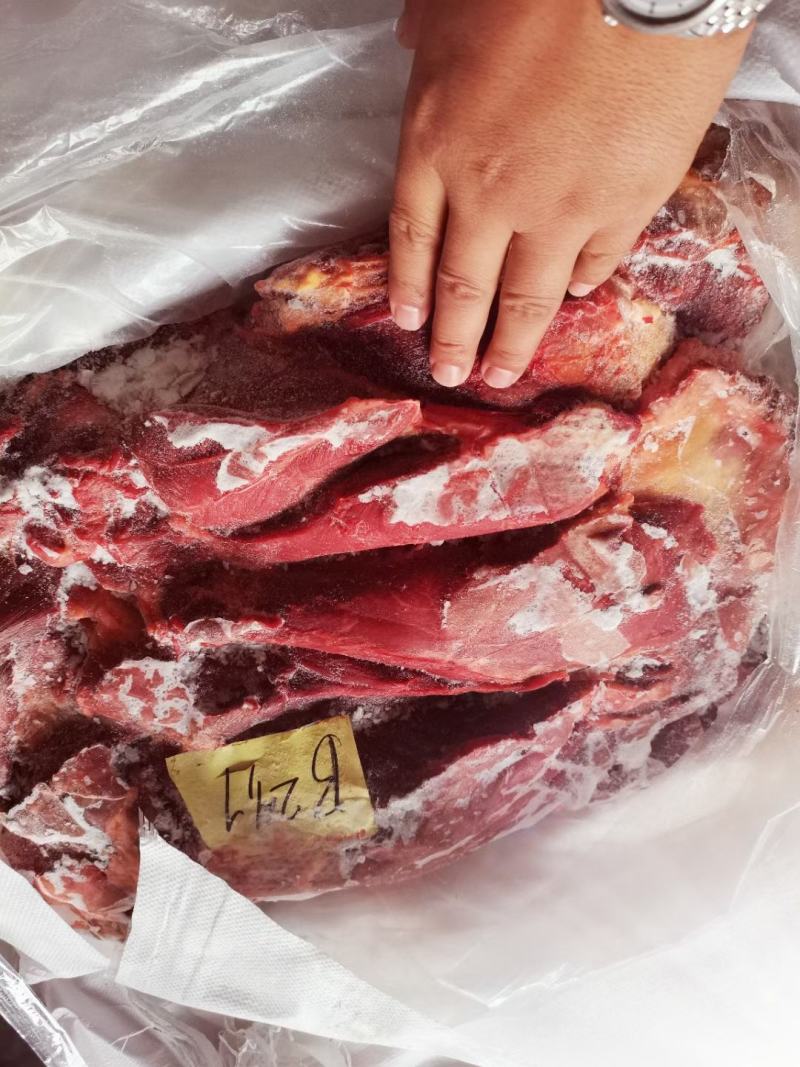 杜蒙荣辉亿米特鼎丰源马肉，大量到货，颜色质量杠杠的好