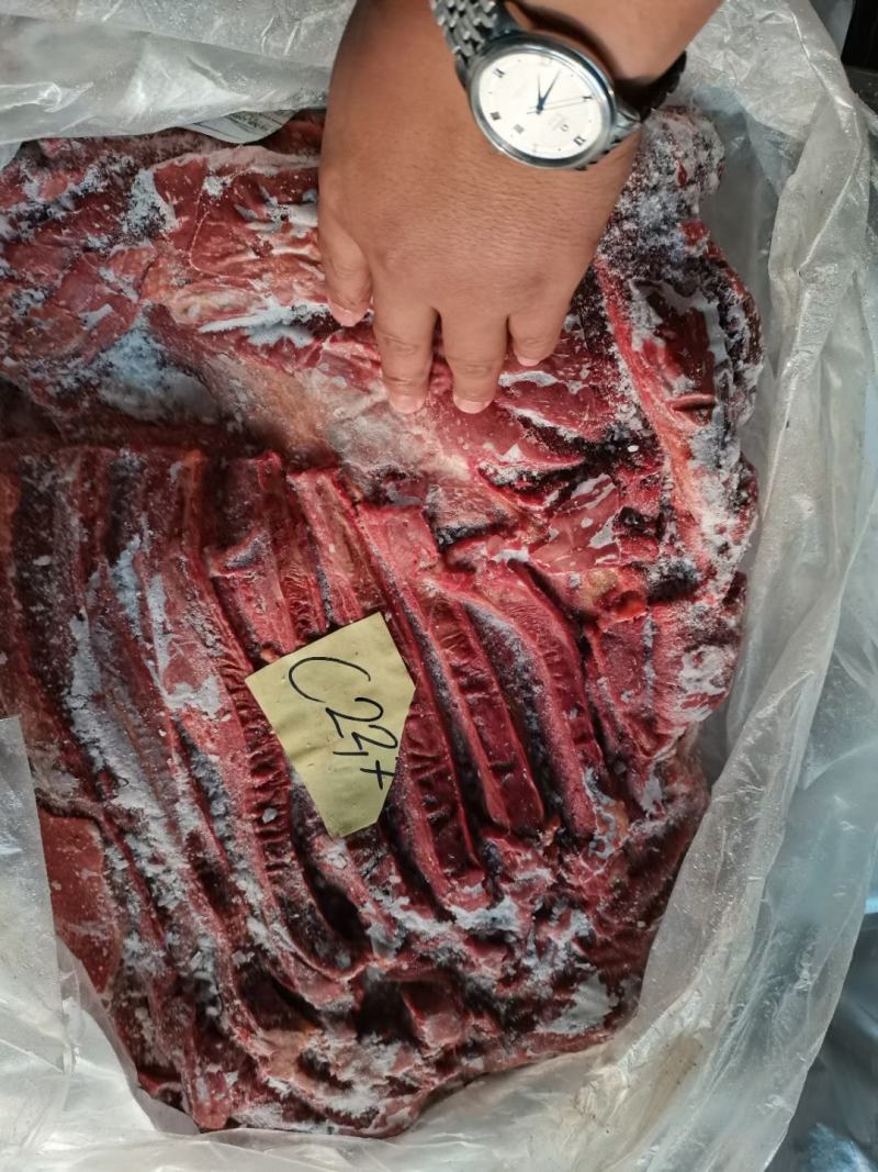 杜蒙荣辉亿米特鼎丰源马肉，大量到货，颜色质量杠杠的好