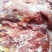 杜蒙荣辉亿米特鼎丰源马肉，大量到货，颜色质量杠杠的好