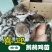美国鹧鸪苗，石鸡苗，红腿鹧鸪苗