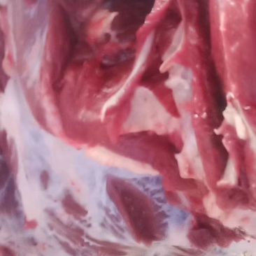 国产纯干鲜牛肉，国产纯干鲜牛肉每天屠宰新鲜货源全国发货，
