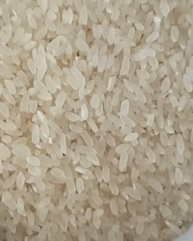 东北黄金水稻，磨出好吃的米