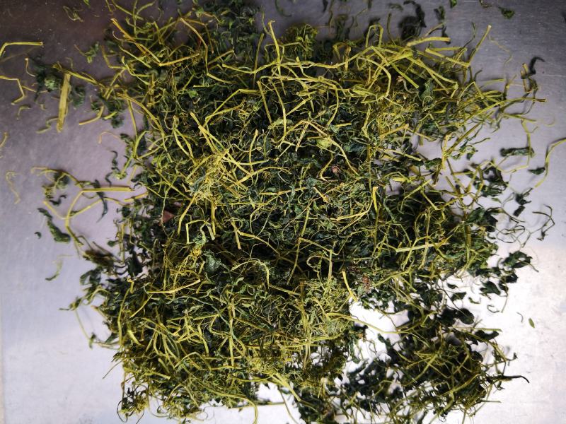 绞股蓝干货散装一斤起包邮量大从优