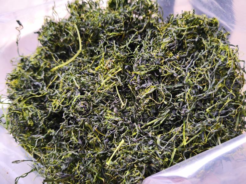 绞股蓝干货散装一斤起包邮量大从优