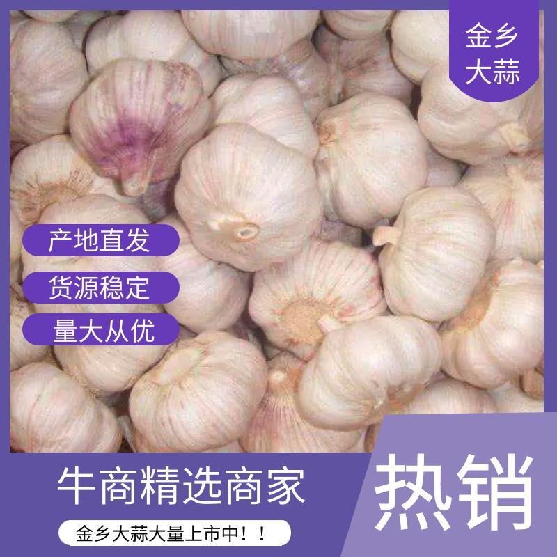 【大蒜】金乡大蒜供应出口电商社区团购市场批发