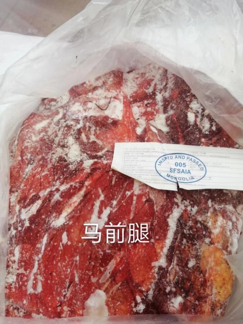 蒙古马肉，四分体，五分体，颜色特别漂大量现货