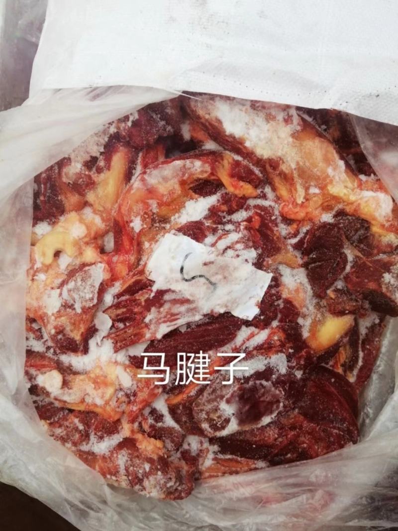 蒙古马肉，四分体，五分体，颜色特别漂大量现货