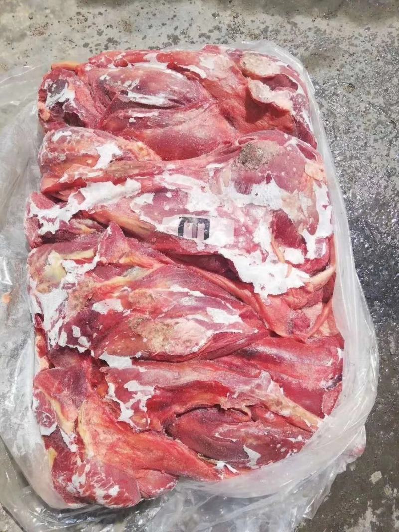 蒙古马肉，四分体，五分体，颜色特别漂大量现货
