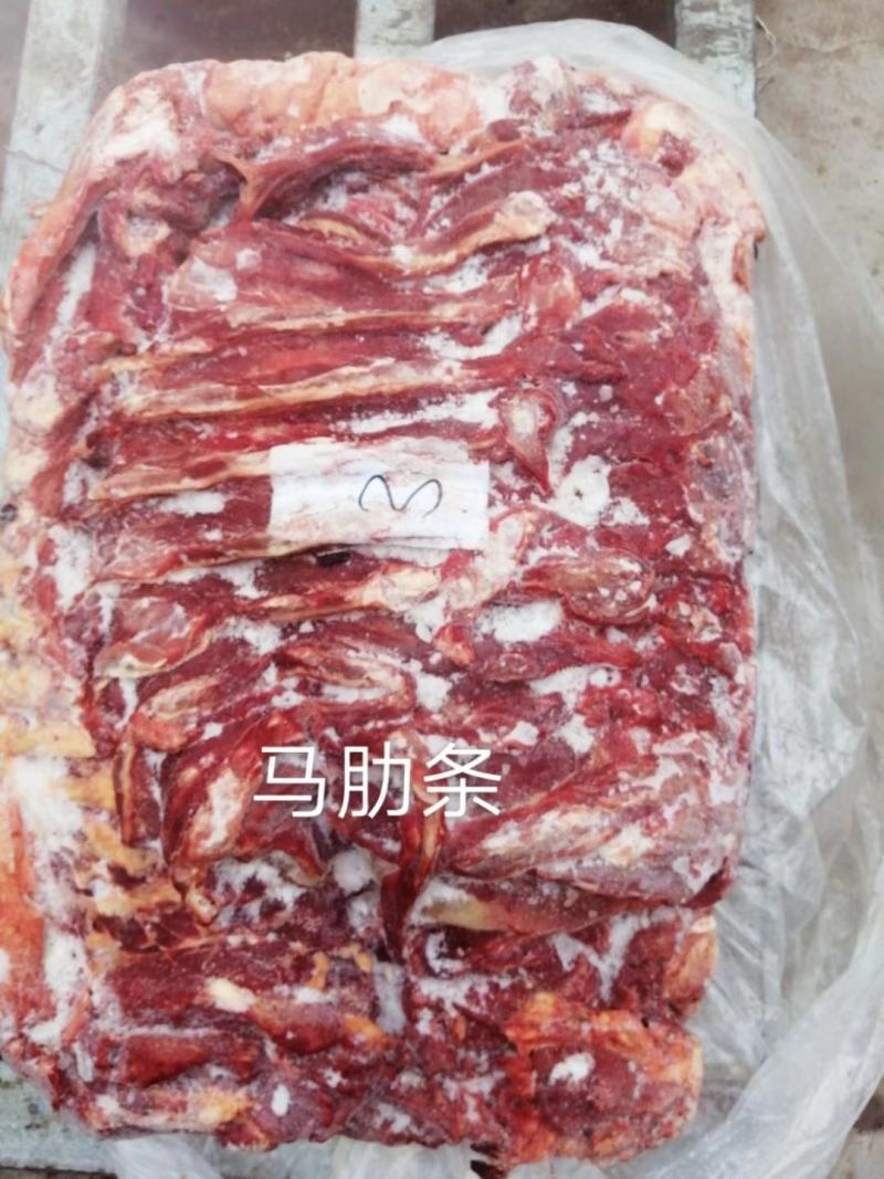 蒙古马肉，四分体，五分体，颜色特别漂大量现货