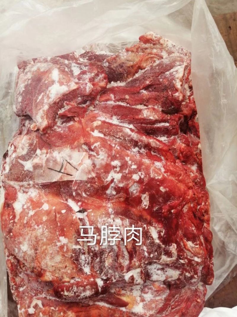 蒙古马肉，四分体，五分体，颜色特别漂大量现货