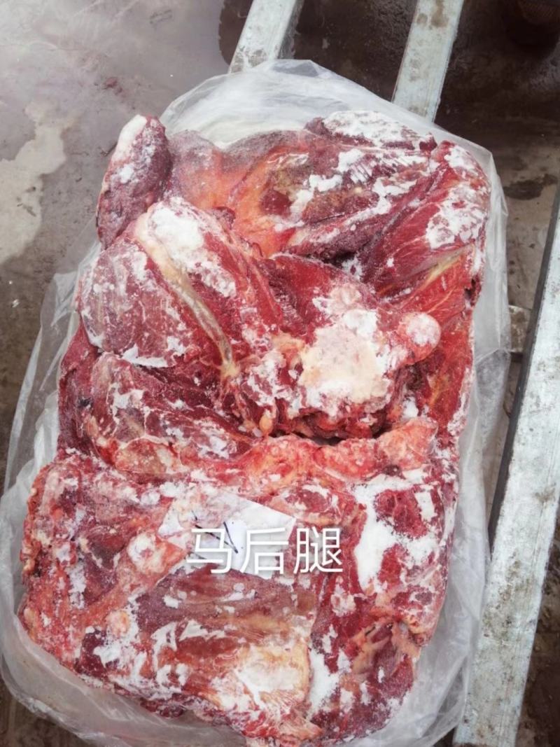 蒙古马肉，四分体，五分体，颜色特别漂大量现货
