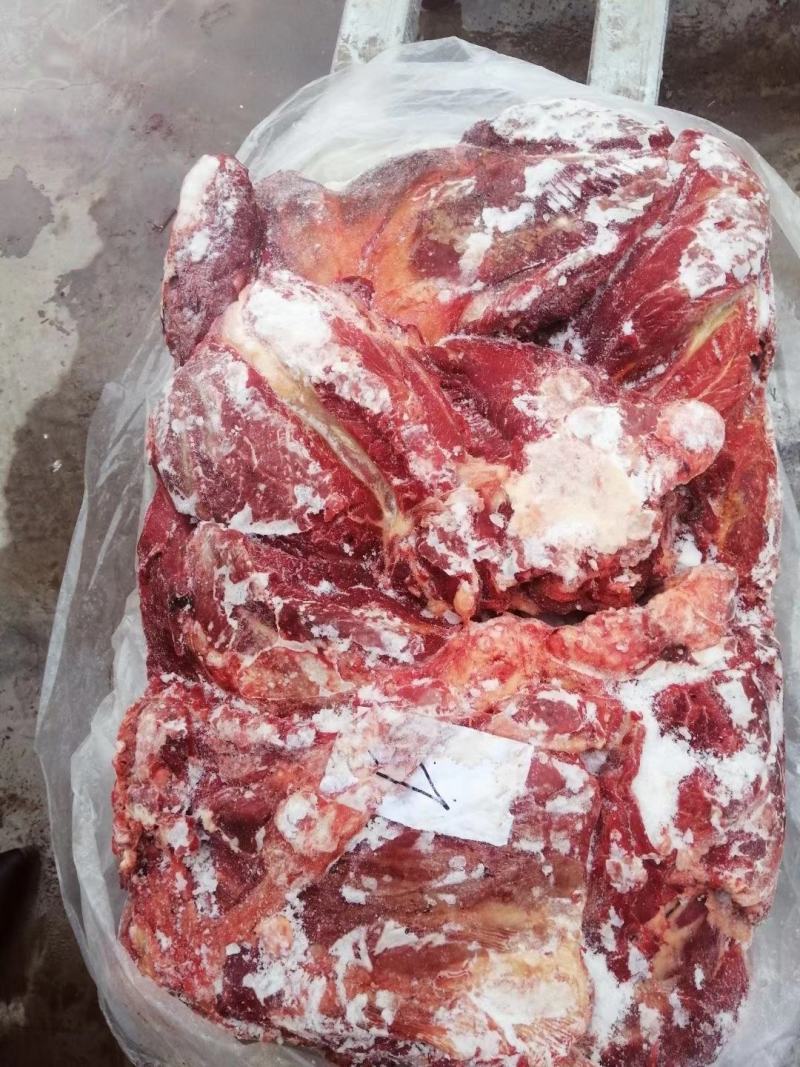 蒙古马肉，四分体，五分体，颜色特别漂大量现货