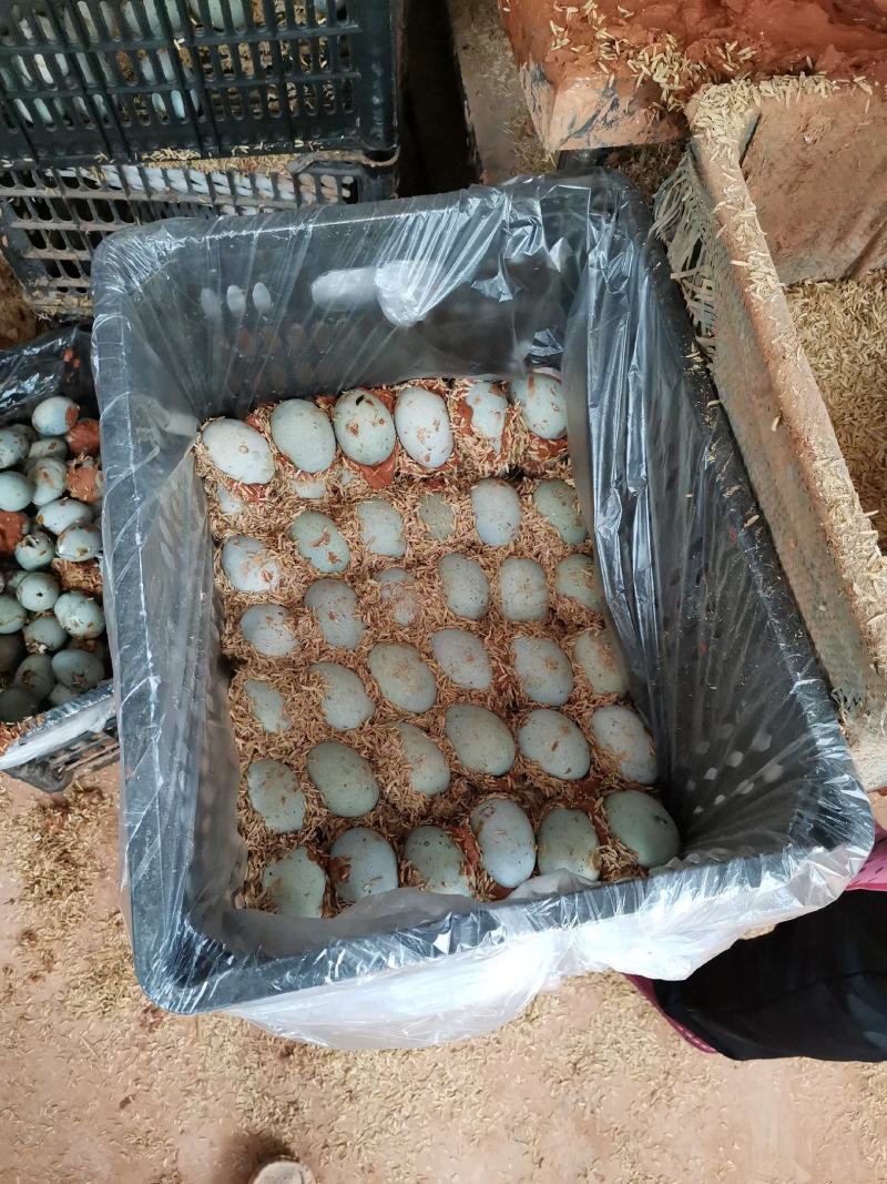 徐州特产，麻壳皮蛋，老式包泥稻壳松花蛋批发，欢迎咨询