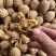 新疆薄皮核桃跑江湖地摊热卖货源库房大量现货