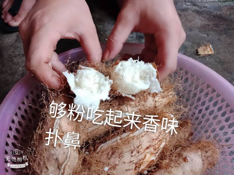 毛薯，也叫毛毛薯，粉嫩香
