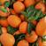 湖北纽荷尔脐橙，宜昌秭归脐橙主产地火红色的纽荷尔脐橙