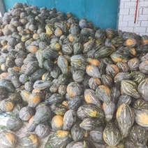 【南瓜】山地香芋南瓜产地直销质优价廉品质保证，欢迎咨询