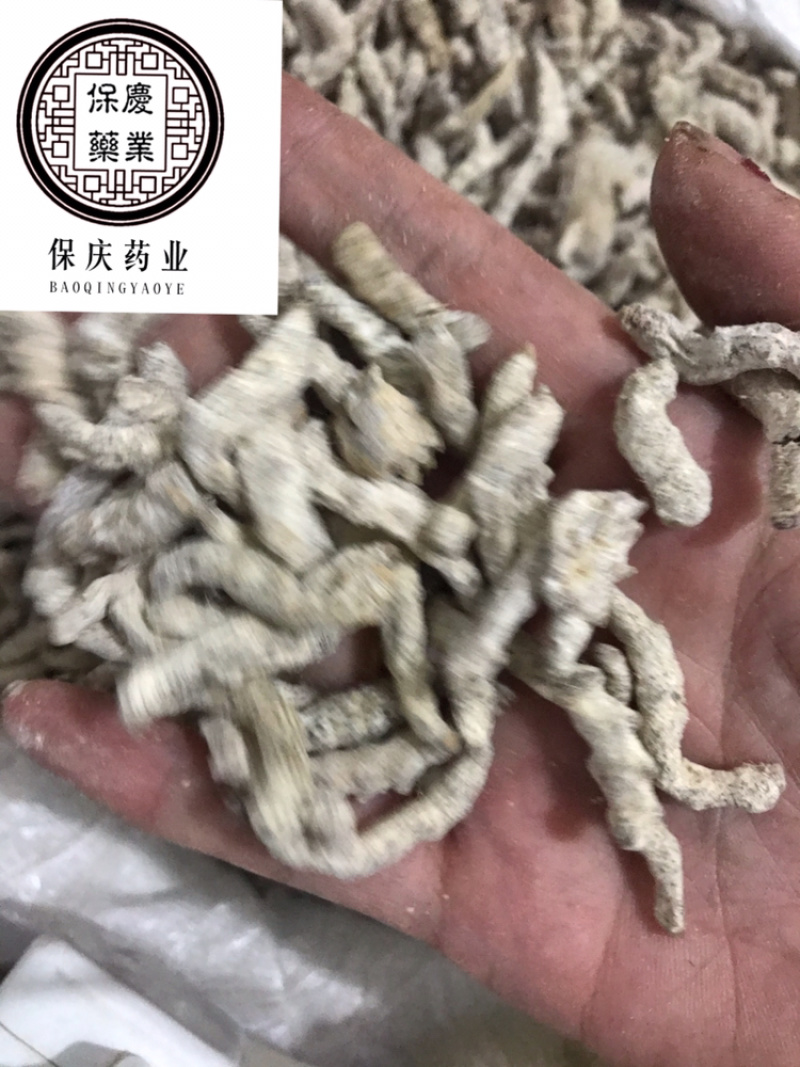 僵蚕保庆药业批发中药材僵蚕正品僵蚕天虫