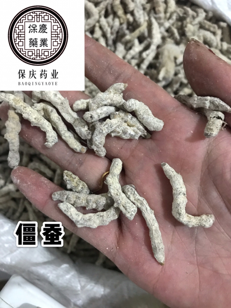 僵蚕保庆药业批发中药材僵蚕正品僵蚕天虫