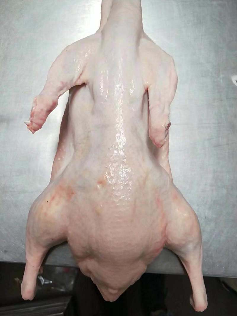 利田香农樱桃谷瘦肉型白条鸭
