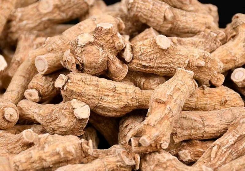 西洋参干货粒头含量高量大从优欢迎选购