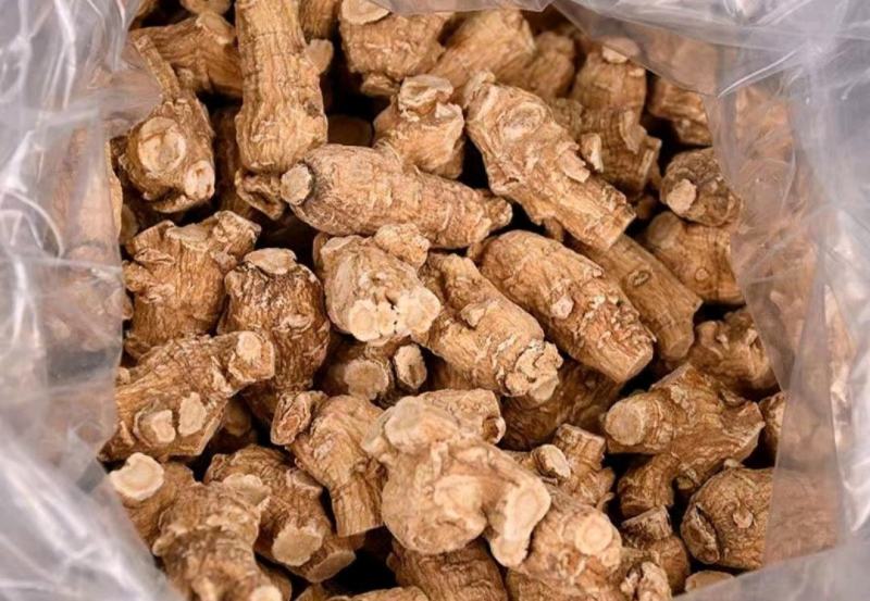 西洋参干货粒头含量高量大从优欢迎选购