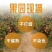 石门蜜橘——自家果园现摘柑橘出售