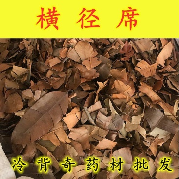 横经席梳篦木跌打将军碎骨莲独角风篦子王