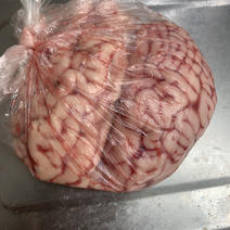 新鲜牛脑花牛脑髓单个包装可盒装品质保证