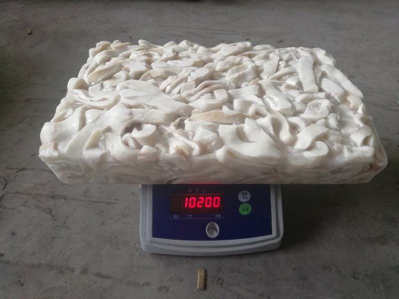 鱿鱼残圈，残条，10公斤一件，长年大量有货。