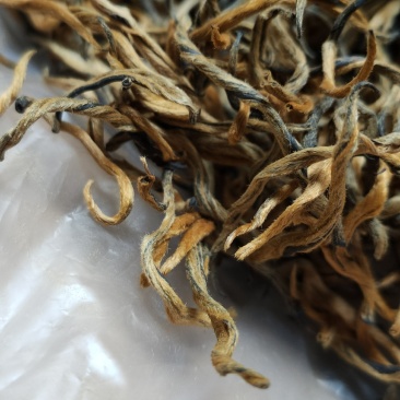 昌宁金丝红茶金豪披覆蜜糖香浓郁汤色金黄透亮