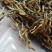 昌宁金丝红茶金豪披覆蜜糖香浓郁汤色金黄透亮