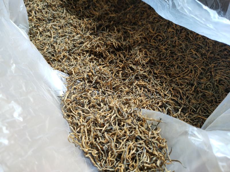 昌宁金丝红茶金豪披覆蜜糖香浓郁汤色金黄透亮