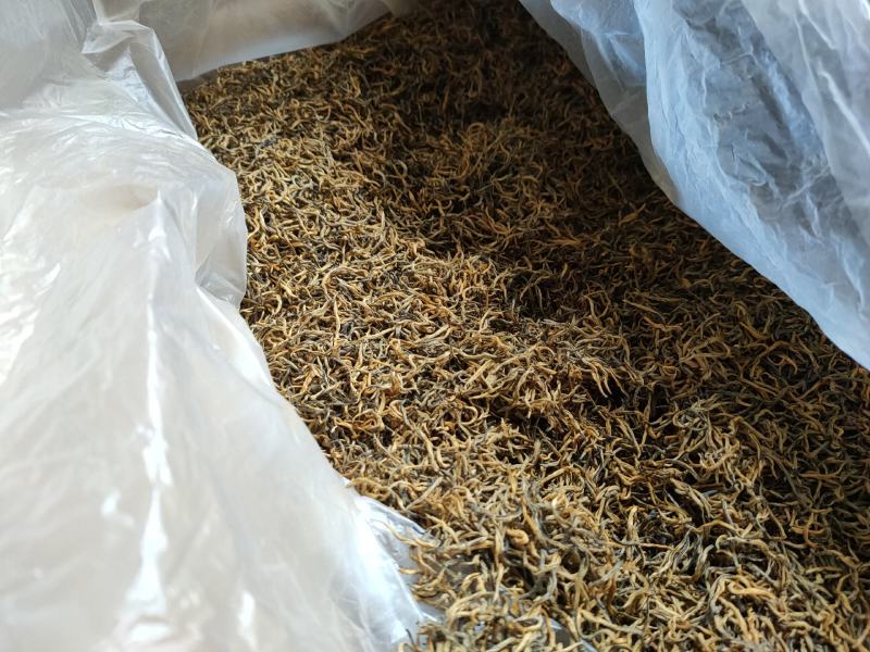 昌宁金丝红茶金豪披覆蜜糖香浓郁汤色金黄透亮