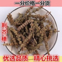 荆芥穗野生荆芥穗天然香荆芥新货500g